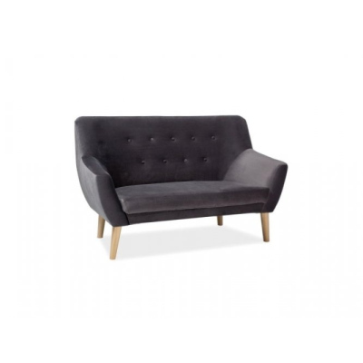 Zweisitzer-Sofa NIKOLINA – grau