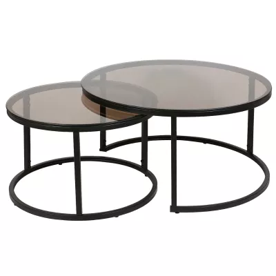 Couchtisch-Set EVODIA 5 – transparent Grau / Schwarz matt