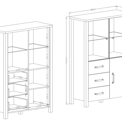 Kombinierte Vitrine OKAL – Okapi-Nussbaum / schwarz