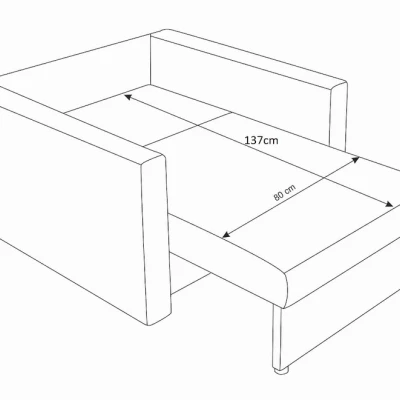 Schlafsofa mit Zebras ARIA – Schwarz