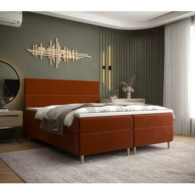 Boxspringbett ANGELES – 200x200, Orange