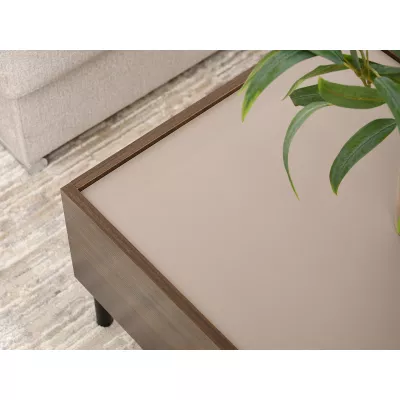 Couchtisch TOMAN mit Schublade – Nussbaum/Beige