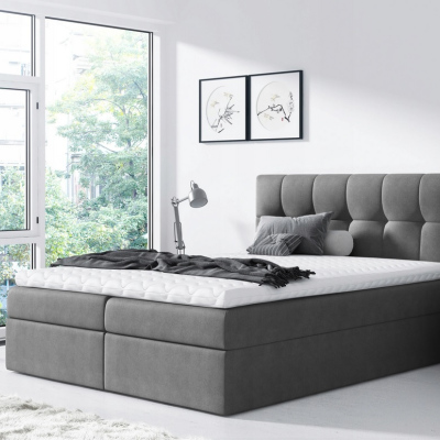 Einfaches Bett Rex 200x200, grau