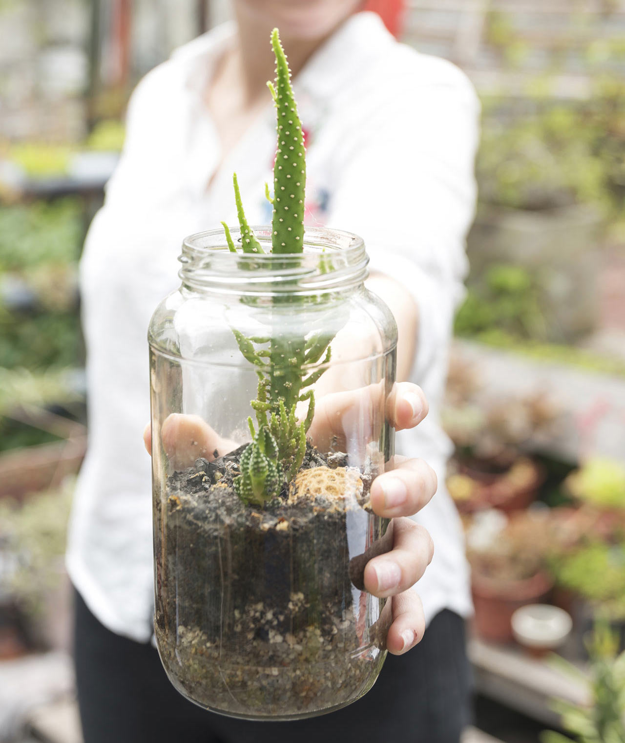 Wüstenfloralien sind leicht zu pflegen