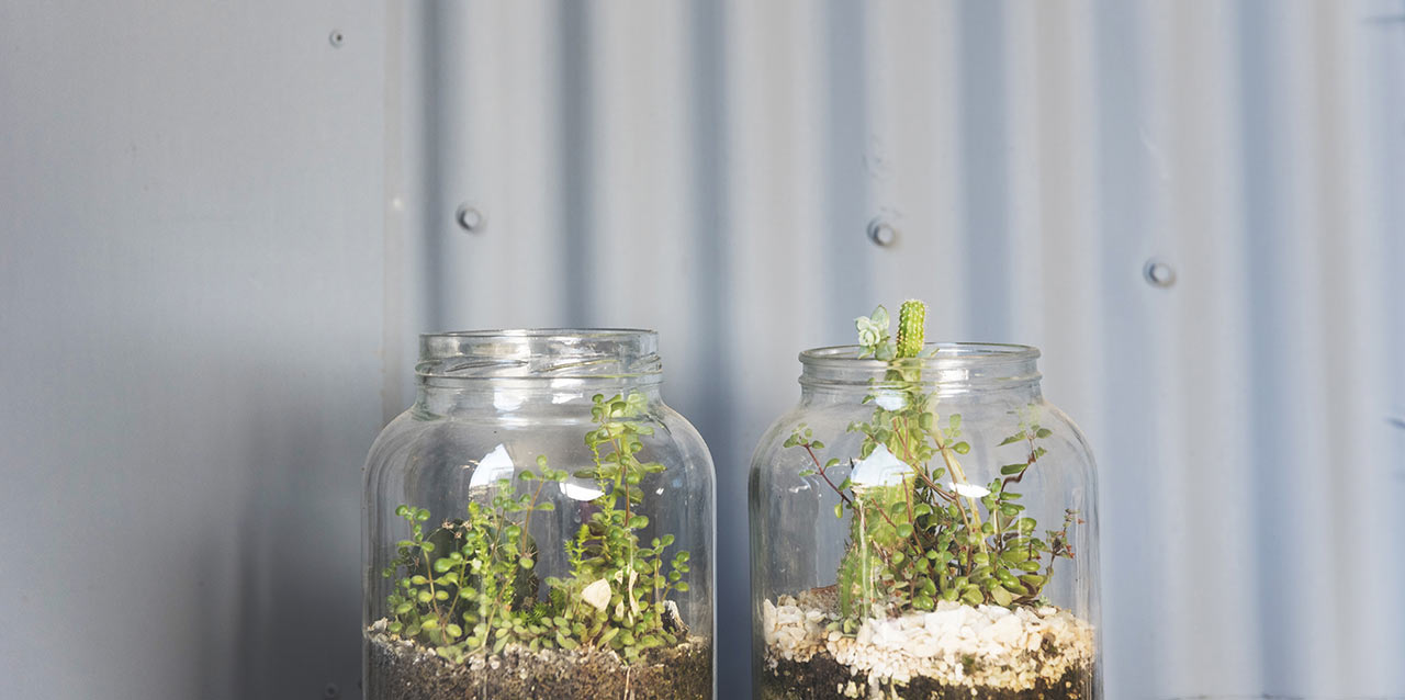 Als Gefäß für das Floralium kann beispielsweise ein altes Einmachglas dienen