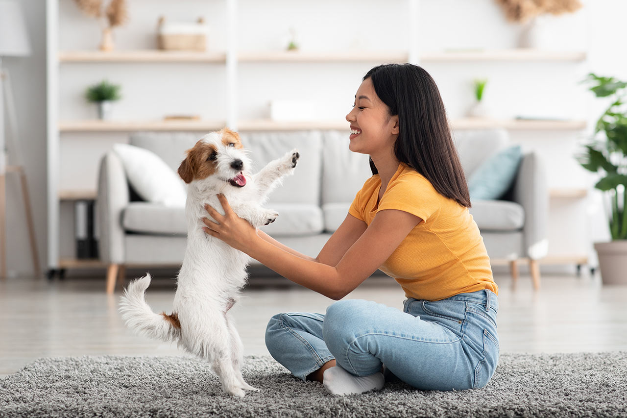 Glückliches Mädchen mit Hund im kleineren Wohnzimmer